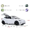 Tesla_remove2.webp